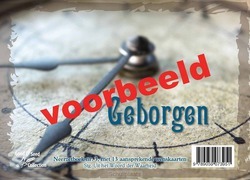 NEERZETBOEK 3 GEBORGEN - 9789059073951