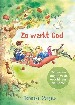 ZO WERKT GOD - DORGELO, TANNEKE - 9789059993273