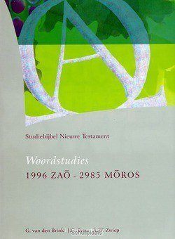 STUDIEBIJBEL NT 13 WOORDSTUDIES 3 - SBNT - 9789062054138