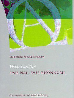 STUDIEBIJBEL NT 14 WOORDSTUDIES 4 - SBNT - 9789062054145