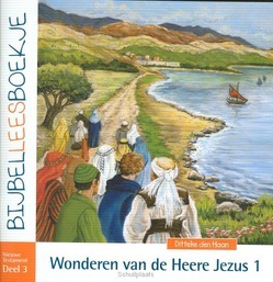 BIJBELLEESBOEKJE NT 3 WONDEREN 1 - HAAN - 9789072186737