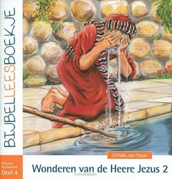 BIJBELLEESBOEKJE NT 4 WONDEREN 2 - HAAN, DITTEKE DE - 9789072186843