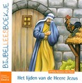 BIJBELLEESBOEKJE NT 6 LIJDEN VAN DE HEER - KLAASSE-HAAN, DITTEKE DEN - 9789072186942