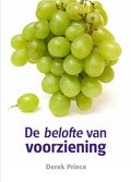 DE BELOFTE VAN VOORZIENING - PRINCE, D. - 9789075185768