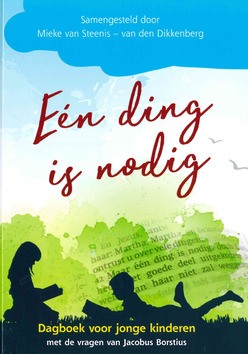 EEN DING IS NODIG - STEENIS,-DIKKENBERG, MIEKE VAN - 9789075236750