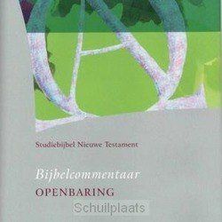 STUDIEBIJBEL NT 10 OPENBARING - 9789077651193