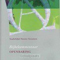 STUDIEBIJBEL NT 10 OPENBARING - 9789077651193