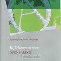 STUDIEBIJBEL NT 10 OPENBARING - 9789077651193