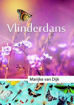 VLINDER DANS - DIJK, MARIJKE VAN - 9789079859603