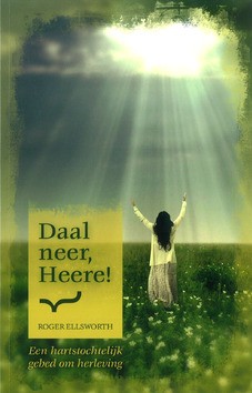 DAAL NEER HEERE - ELLSWORTH, ROGER - 9789081979412