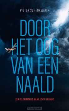 DOOR HET OOG VAN EEN NAALD - SCHEURWATER, PIETER - 9789083439419