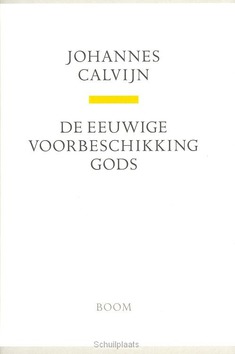 DE EEUWIGE VOORBESCHIKKING GODS - CALVIJN, J. - 9789085067993