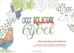 GEEF KLEUR AAN JE BIJBEL - ORANJE, CORIEN; DUIN, LIEKE VAN; GEUS, M - 9789085433576