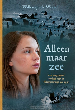 ALLEEN MAAR ZEE - WEERD, WILLEMIJN DE - 9789085435075