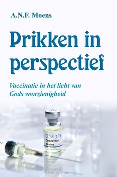 PRIKKEN IN PERSPECTIEF - MOENS, A.N.F. - 9789087184902