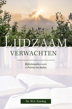 LIJDZAAM VERWACHTEN - ZONDAG, DS. W.A. - 9789087186043