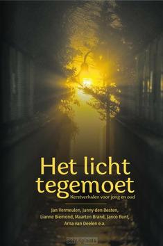 LICHT TEGEMOET KERSTVERHALEN - 9789087188344