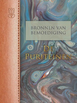BRONNEN VAN BEMOEDIGING: DE PURITEINEN - FLORIJN, HENK - 9789088653612