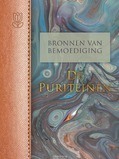 BRONNEN VAN BEMOEDIGING: DE PURITEINEN - FLORIJN, HENK - 9789088653612