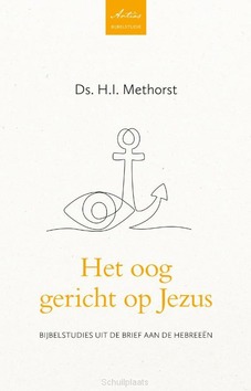 HET OOG GERICHT OP JEZUS - METHORST, H. I. - 9789088973598