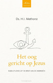 HET OOG GERICHT OP JEZUS - METHORST, H. I. - 9789088973598