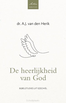 DE HEERLIJKHEID VAN GOD - HERIK, DS. A.J. VAN DEN - 9789088974571