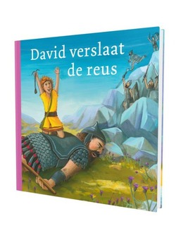 DAVID VERSLAAT DE REUS - PRENTENBIJBEL - 9789089120724