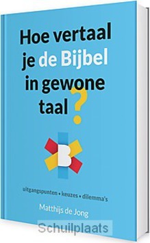 Hoe vertaal je de Bijbel in gewone taal? - Jong, Matthijs de - 9789089120847