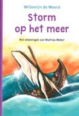 STORM OP HET WATER - WEERD, WILLEMIEN DE - 9789089122155