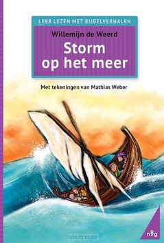 STORM OP HET MEER - WEERD, WILLEMIJN DE - 9789089123664