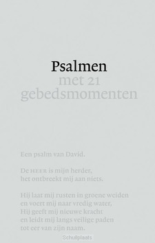 DE PSALMEN NBV21 - 21 GEBEDSMOMENTEN - SINTOBIN SJ, NIKOLAAS - 9789089124180