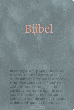 NBV21 HANDBIJBEL - 9789089124449