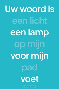 NBV21 PAPERBACK (BLAUW) - 9789089124463