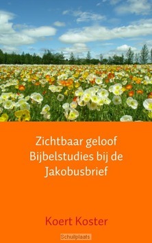 ZICHTBAAR GELOOF BIJBELSTUDIES BIJ DE JA - KOSTER, KOERT - 9789402109481