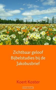 ZICHTBAAR GELOOF BIJBELSTUDIES BIJ DE JA - KOSTER, KOERT - 9789402109481