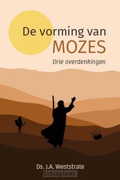 VORMING VAN MOZES - WESTSTRATE, DS. J.A. - 9789402910070