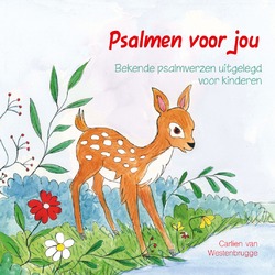 PSALMEN VOOR JOU - WESTENBRUGGE, CARLIEN VAN - 9789402910117