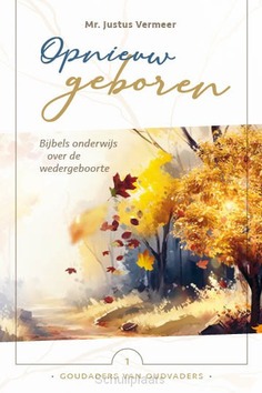 OPNIEUW GEBOREN - VERMEER, JUSTUS - 9789402910193