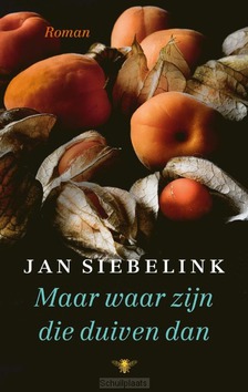 MAAR WAAR ZIJN DIE DUIVEN DAN - SIEBELINK, JAN - 9789403182902