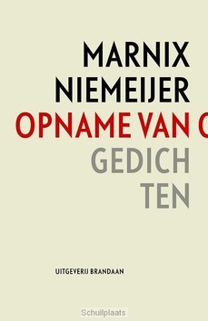 Opname van opzij - Niemeijer, Marnix - 9789460050381