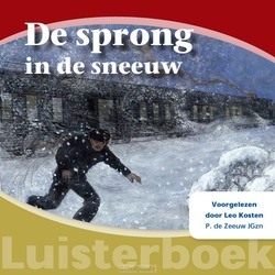 DE SPRONG IN DE SNEEUW LUISTERBOEK - ZEEUW JGZN, P. DE - 9789461151117