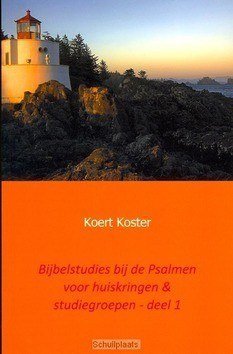 BIJBELSTUDIES BIJ DE PSALMEN #1 - KOSTER, KOERT - 9789461937896