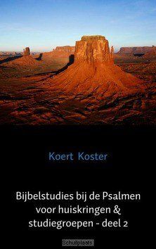 BIJBELSTUDIES BIJ DE PSALMEN #2 - KOSTER, KOERT - 9789462548107