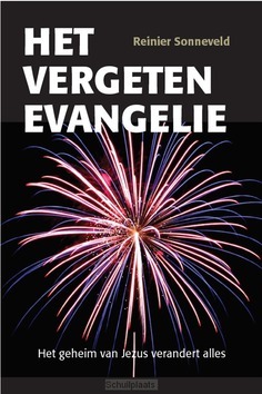 HET VERGETEN EVANGELIE - SONNEVELD, REINIER - 9789463690034