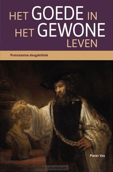 HET GOEDE IN HET GEWONE LEVEN - VOS, PIETER - 9789463693097