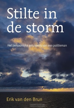 STILTE IN DE STORM - BRUN, ERIK VAN DEN - 9789463693523