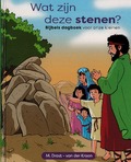 WAT ZIJN DEZE STENEN? - DROST, MARINA - 9789463703369
