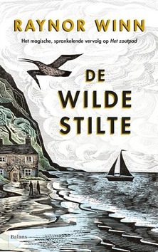 DE WILDE STILTE - WINN, RAYNOR - 9789463821049