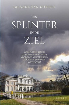 EEN SPLINTER IN DE ZIEL - GORSSEL, JOLANDE VAN - 9789464247053