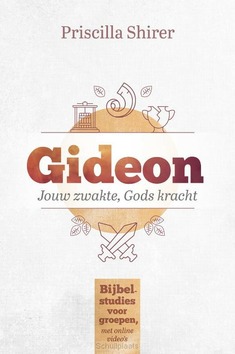 GIDEON - SHIRER, PRISCILLA - 9789464250268